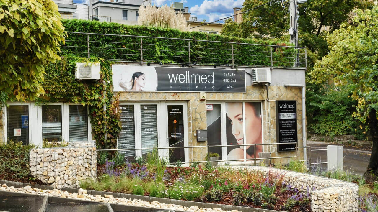 Wellmed Beauty and Medical